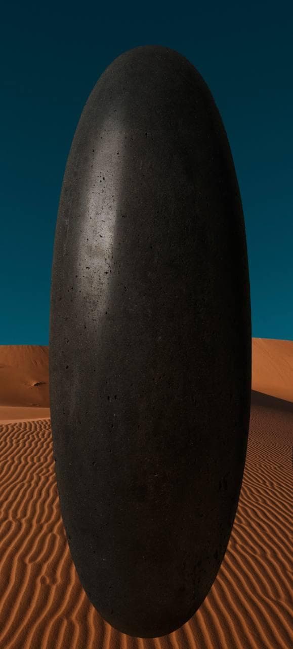 Пустынный моллюск