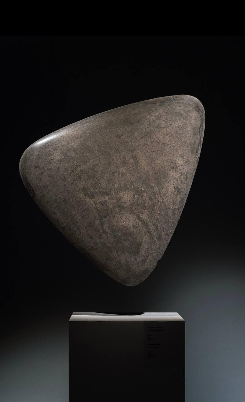 Сгусток времени